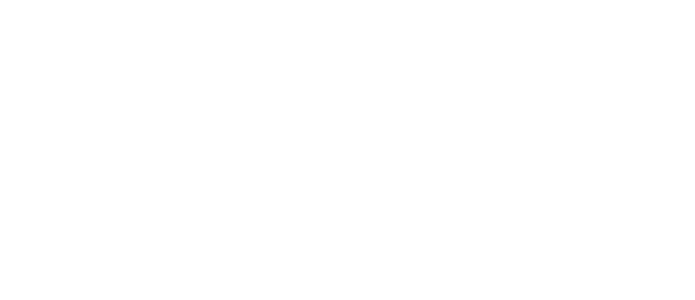Terodigital